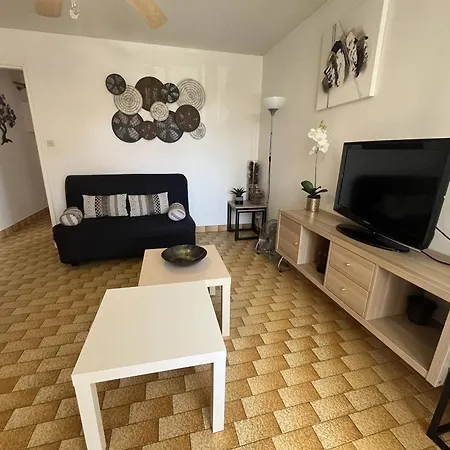Appartement T2 Pour 4 Personnes Avec Parking Au Cap D'agde - Fr-1-749-108 Agde